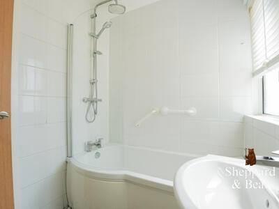Picture 8